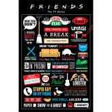(image for) Friends Poster Infographic 150