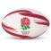 (image for) Rugby Balls