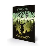 (image for) Harry Potter Expecto Patronum Wood Print