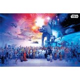 (image for) Star Wars Poster Universe 69