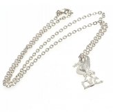 (image for) Liverpool FC Silver Plated Liverbird Pendant & Chain