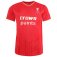 (image for) Replica Shirts