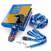(image for) Harry Potter Ravenclaw Luxury Gift Tin