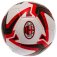 (image for) Footballs Size 5