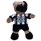 (image for) Newcastle United FC Super Fan Bear