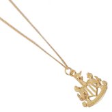 (image for) Newcastle United FC 18ct Gold Plated on Silver Pendant & Chain
