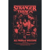 (image for) Stranger Things 5 Poster All Friends Welcome 49