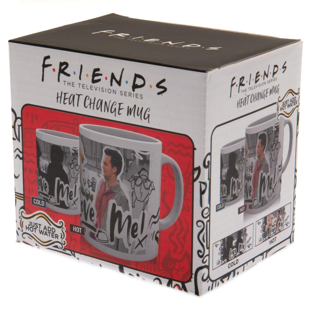 (image for) Friends Heat Changing Mug You Love Me