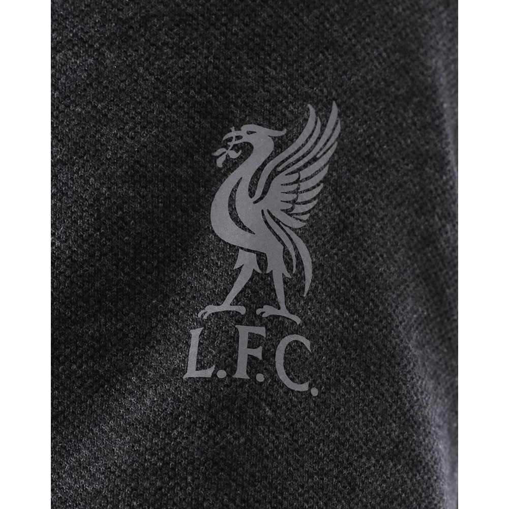 (image for) Liverpool FC Neon Panel Polo Mens Charcoal Small
