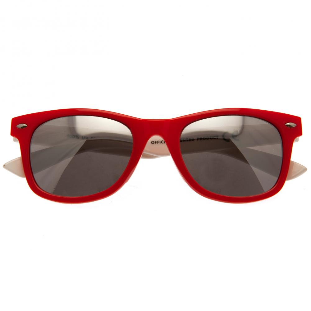 (image for) Wales RU Sunglasses Junior Retro