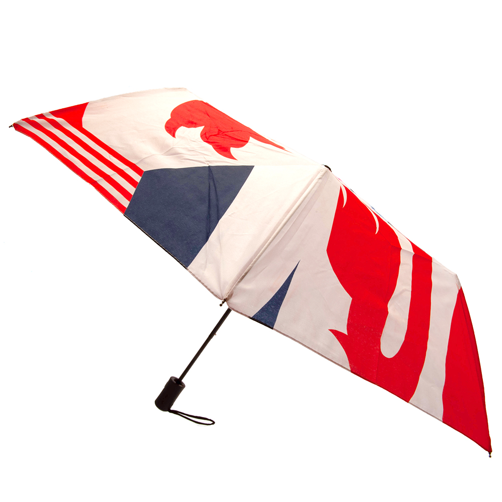 (image for) England FA Umbrella