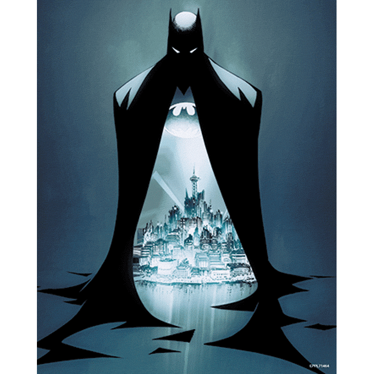 (image for) Batman 3D Print Protector