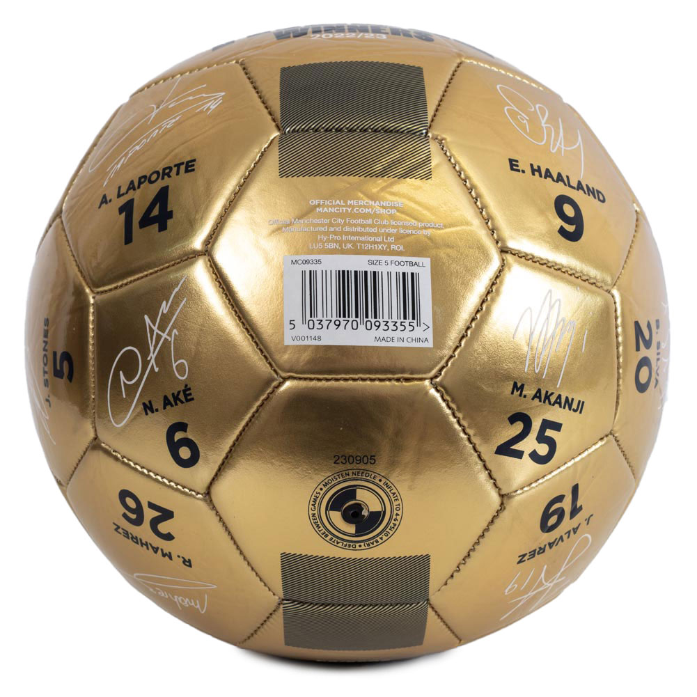 (image for) Manchester City FC Treble Winners Sig Football