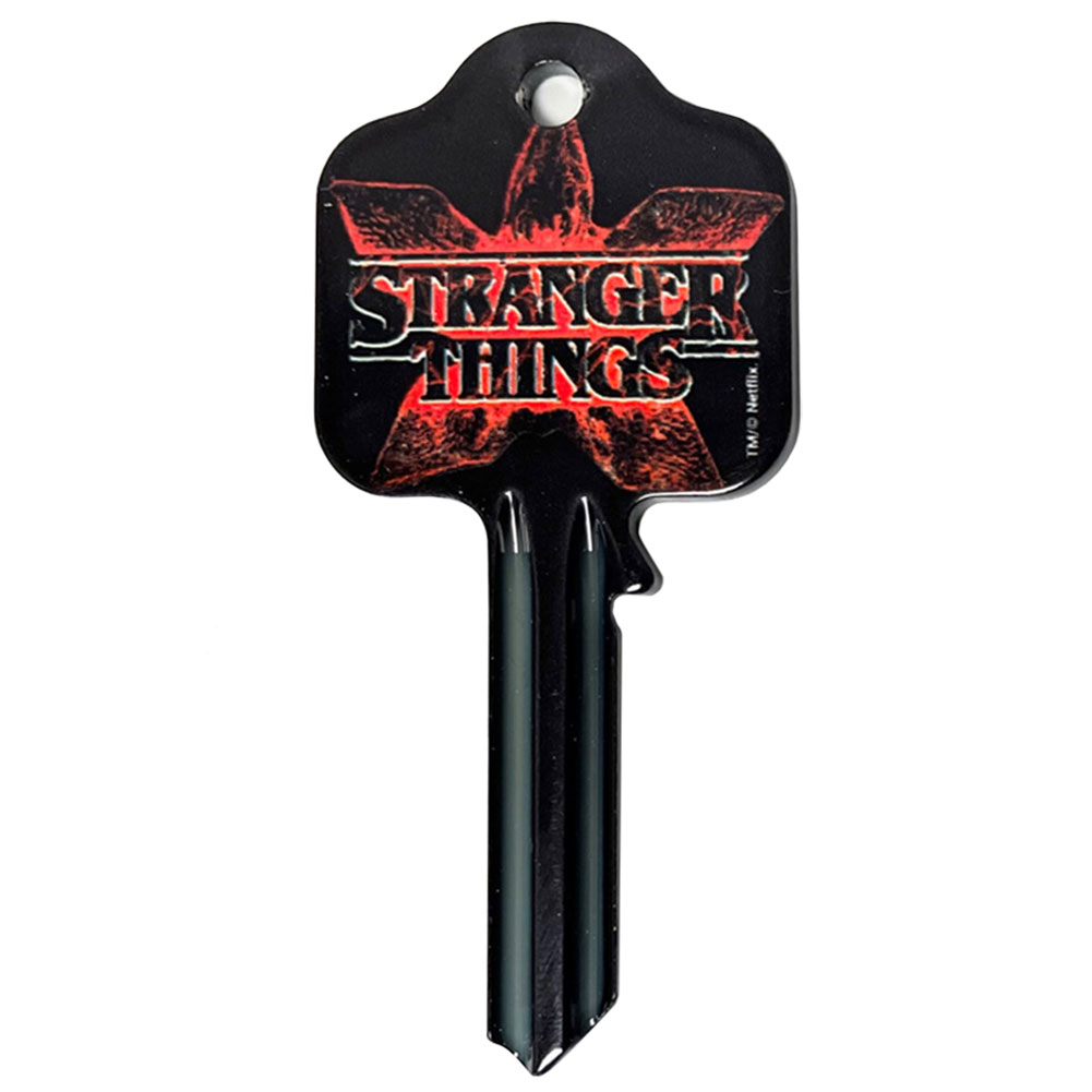 (image for) Stranger Things Door Key